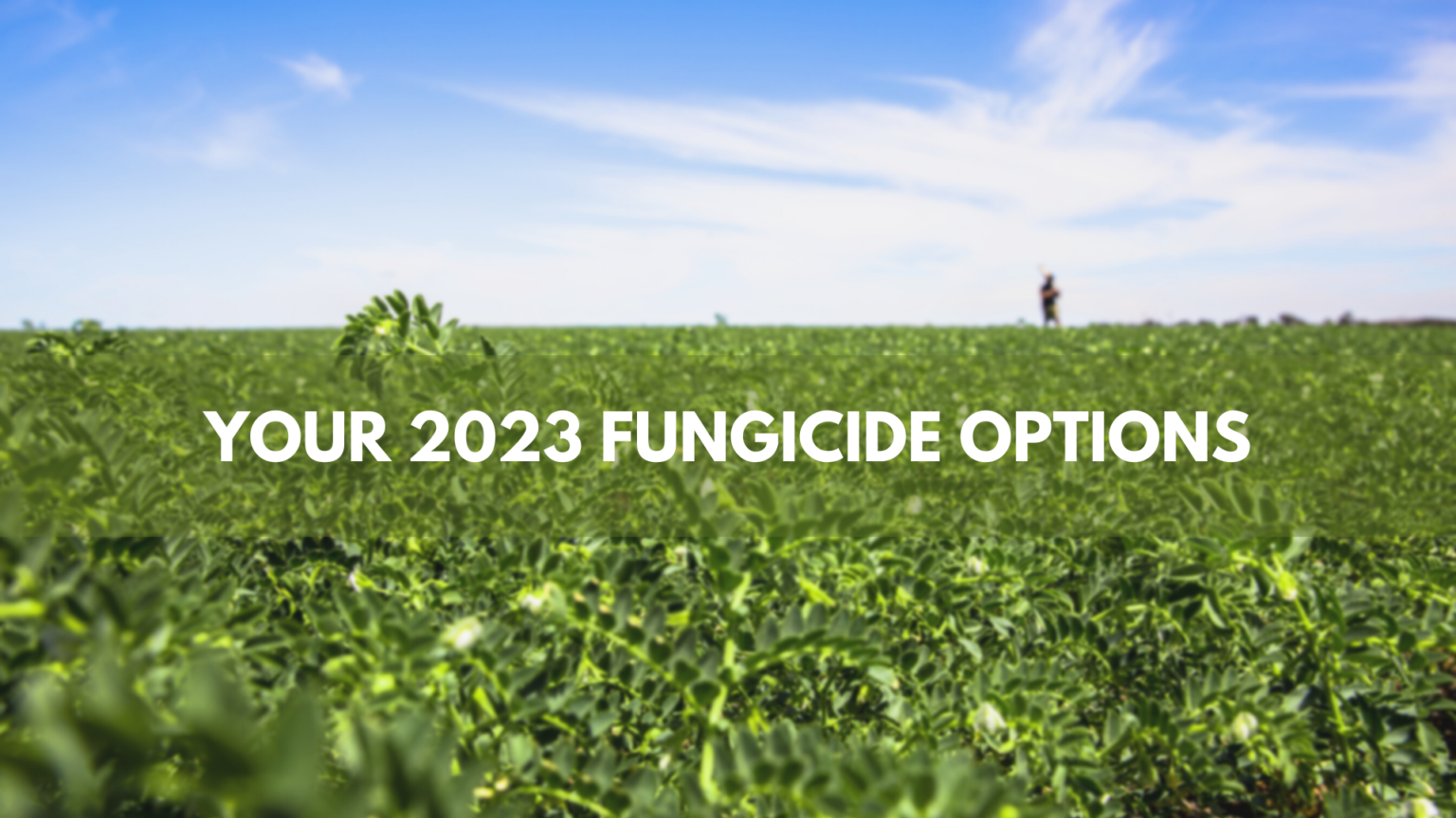 Your 2023 Fungicide Options - AW Vater & Co