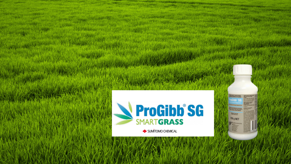 Boosting Pasture Growth and Quality with ProGibb SG