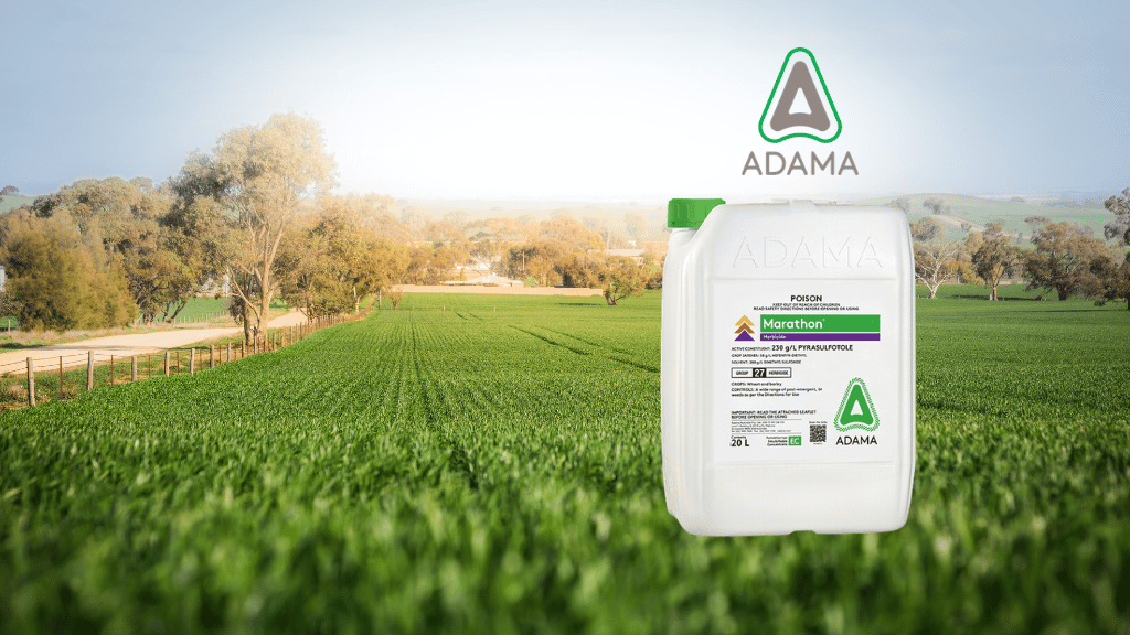 Marathon broadleaf herbicide